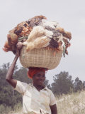 Haitian Woman Carrying Large Basket with Her Market Shopping on Her Head