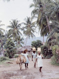 Group of Haitian Woman and a Donkey Walking Down a Dirt Road