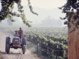 Buy Workers on a Tractor at the Conchay Toro Vineyards, Chile at AllPosters.com