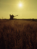 Buy Combine Harvester in Field at Sunset at AllPosters.com