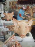 East German Butcher Shop, Displaying Whole Pigs Heads