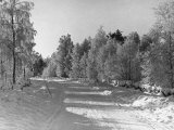 Snow Covering Countryside Northeast of Lake Ladoga