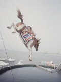 Horse with LBJ Banner Diving into the Water at Atlantic City