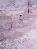Buy View of Man Walking on Snow and Ice Covered Riverside Park at AllPosters.com