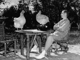 MGM Screenwriter John L. Mahin Sitting Outdoors, Re-Enacting His "Laying an Egg"