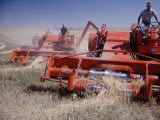 Buy Harvester Combines at Work on Wheat or Oat Field of Farm Near Max. North Dakota at AllPosters.com
