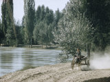 Russian Look of the Land Essay: Boy on Two-Wheeled Donkey Cart Along Fergana Canal