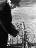 Buy Older Man Feeding Birds Perched on a Fence in Hyde Park at AllPosters.com