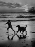 Afghan Dog Roaming across Beach with Girl at Sundown, During Preparation for Westminister Show