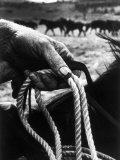 Buy The Rough, Weathered Hand of an Oldtime Cowboy, Holding Rope at AllPosters.com