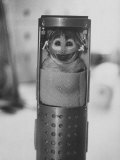 Buy Tiny Squirrel Monkey Strapped into Capsule for Space Travel at AllPosters.com