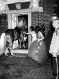 Buy People Bringing in Horse at Dwight D. Eisenhower's Inauguration Party at AllPosters.com