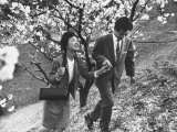 Matsushita Electronics Corp Employees Teruo Kobuchi and Fiancee on Date Surrounded by Cherry Trees