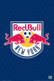 MLS New York Red Bulls Logo