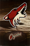 Phoenix Coyotes