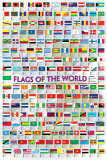 Buy Flags of the World 2008 at AllPosters.com