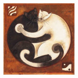 Yin Chi Yang Cats