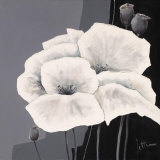 Buy Decora II at AllPosters.com