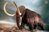 Buy Woolly Mammoth at AllPosters.com