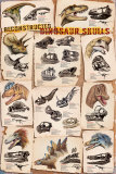 Buy Dinosaur Skulls Reconstructed at AllPosters.com
