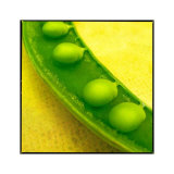 Buy Polaroid Vegetable I at AllPosters.com