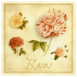 Buy Roses at AllPosters.com