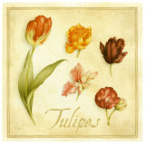 Buy Tulipes at AllPosters.com