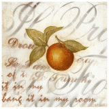 Buy Arangia at AllPosters.com