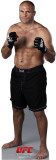 Buy UFC - Randy Couture at AllPosters.com