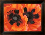 Oriental Poppies, 1928