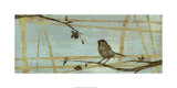 Buy Woodland Respite IV at AllPosters.com