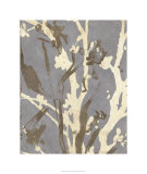 Buy Traces II at AllPosters.com