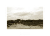 Buy Ocracoke Dune Study I at AllPosters.com