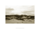 Buy Ocracoke Dune Study III at AllPosters.com