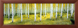 Buy Ashley National Forest at AllPosters.com