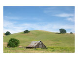 Barn