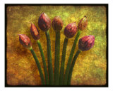Chives Buds
