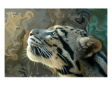 Leopard Dreams
