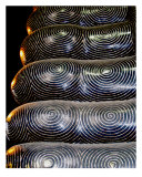 Buy Toes of Reclining Buddha, Bangkok, Thailand at AllPosters.com