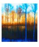 Winter Sunset Through Woods On Lake Siljan