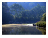 Buy A Summer Day at AllPosters.com