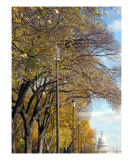 Buy Washington Dc Fall Season at AllPosters.com