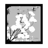 Buy Money Plant at AllPosters.com
