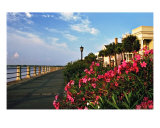 Buy The Charleston Battery at AllPosters.com