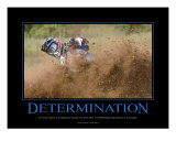 Determination
