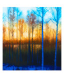 Winter Sunset Through Woods On Lake Siljan