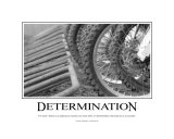 Determination