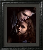 Buy Twilight at AllPosters.com