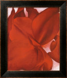 Red Cannas Framed Art Print