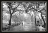 Poet's Walk, Central Park, New York City